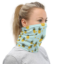 Load image into Gallery viewer, Pineapple Dog Dress or T-Shirt and Neck Gaiter Bundle