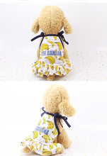 Load image into Gallery viewer, Matching Pup Banana Dress / T-shirt