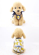 Load image into Gallery viewer, Matching Pup Banana Dress / T-shirt