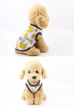 Load image into Gallery viewer, Banana Dog Dress/T-shirt and Neck Gaiter Bundle