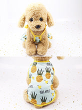Load image into Gallery viewer, Pineapple Dog Dress or T-Shirt and Neck Gaiter Bundle
