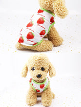 Load image into Gallery viewer, Strawberry Dog Dress or T-shirt and Neck Gaiter Bunbel