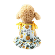 Load image into Gallery viewer, Pineapple Dog Dress or T-Shirt and Neck Gaiter Bundle
