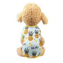 Load image into Gallery viewer, Matching Pup Pineapple Dress / T-shit