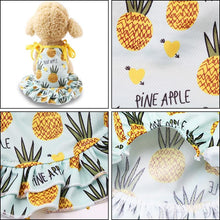 Load image into Gallery viewer, Pineapple Dog Dress or T-Shirt and Neck Gaiter Bundle