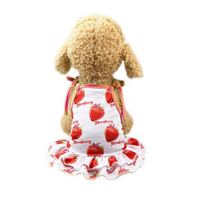 Load image into Gallery viewer, Strawberry Dog Dress or T-shirt and Neck Gaiter Bunbel