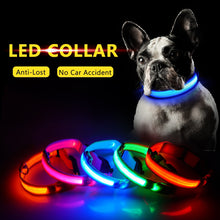 Load image into Gallery viewer, Matching Pup LED Dog Collar USB Rechargeable