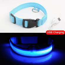 Load image into Gallery viewer, Matching Pup LED Dog Collar USB Rechargeable