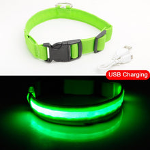 Load image into Gallery viewer, Matching Pup LED Dog Collar USB Rechargeable