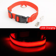 Load image into Gallery viewer, Matching Pup LED Dog Collar USB Rechargeable