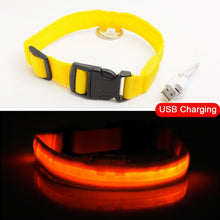 Load image into Gallery viewer, Matching Pup LED Dog Collar USB Rechargeable