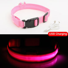 Load image into Gallery viewer, Matching Pup LED Dog Collar USB Rechargeable